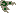 符文骨片 b